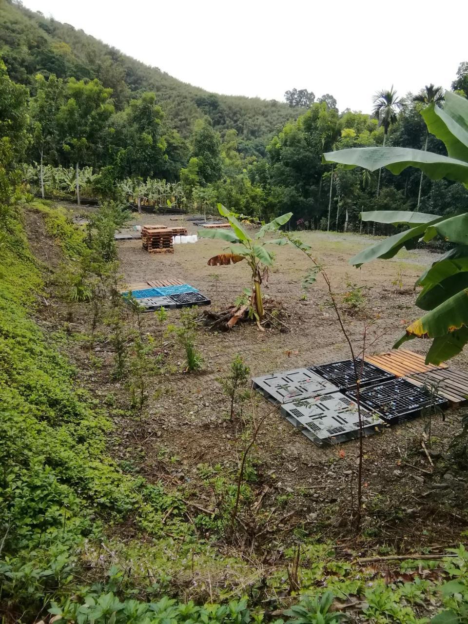 台東民宿 關山桃花心木民宿農場 Guanshan Εξωτερικό φωτογραφία