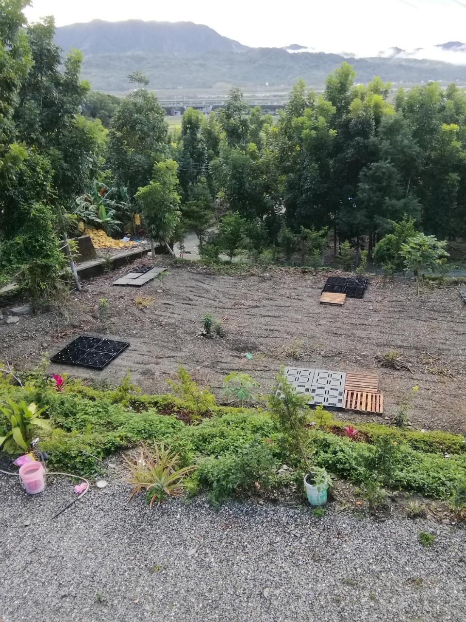 台東民宿 關山桃花心木民宿農場 Guanshan Εξωτερικό φωτογραφία